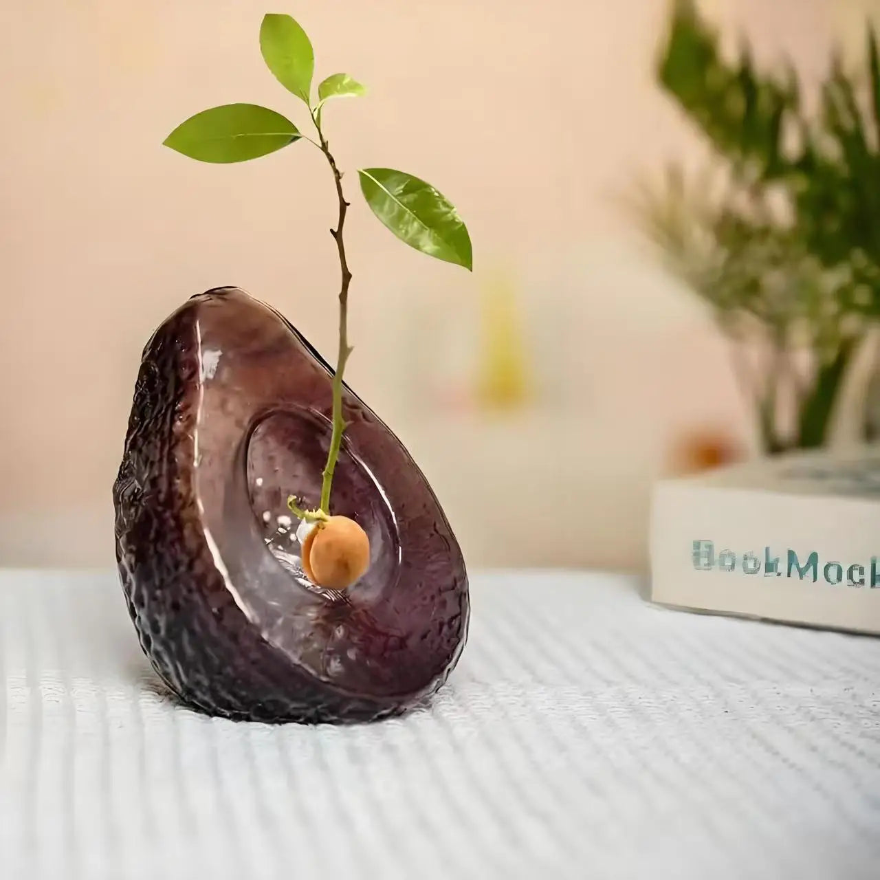 Macetero de Aguacates