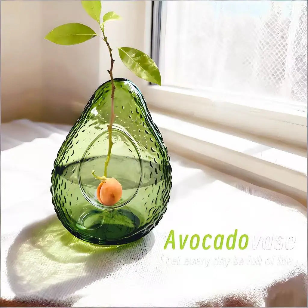 Macetero de Aguacates
